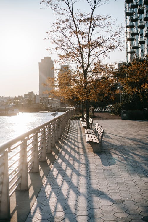 阳光灿烂的日子在城市当代路堤 · 免费素材图片