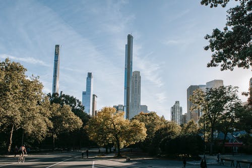 公园附近的现代摩天大楼 · 免费素材图片