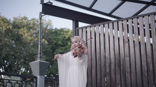 有关古典音乐, 小提琴, 小提琴手的免费素材图片