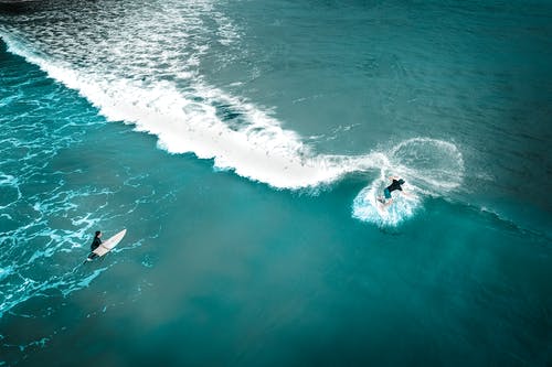 有关wakesurfing, 不露面, 人的免费素材图片