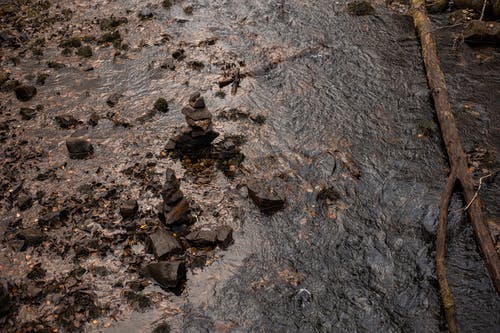 有关俯视图, 岩石, 木原木的免费素材图片