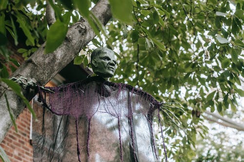 有关从下面, 令人不寒而栗的, 低角度的免费素材图片