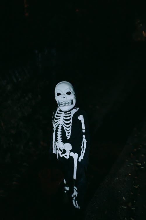 白色和黑色熊猫毛绒玩具 · 免费素材图片