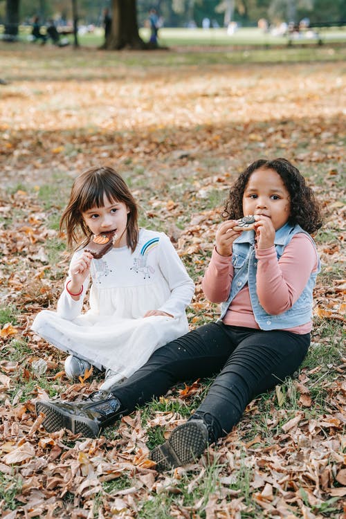 聚焦姜饼的小女孩 · 免费素材图片