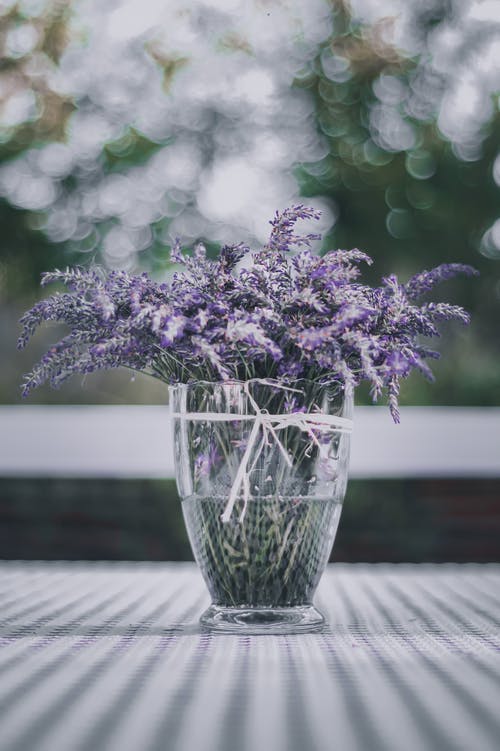 透明玻璃花瓶中的紫色花 · 免费素材图片