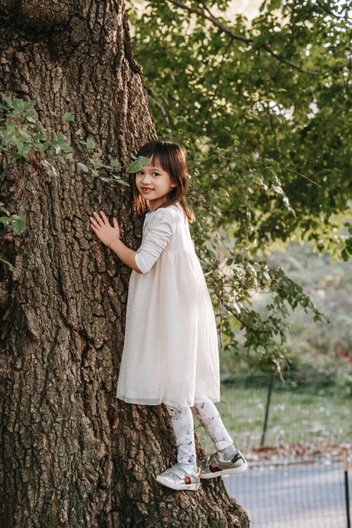 积极的女孩穿着爬上树 · 免费素材图片
