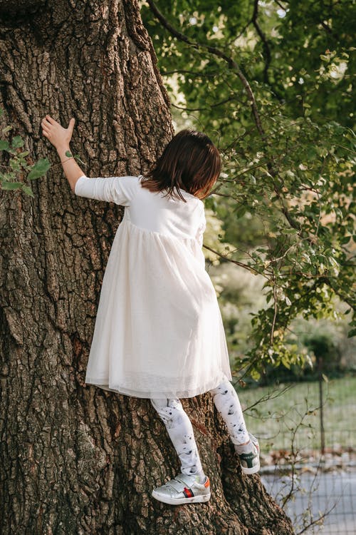 爬在树干上的小女孩 · 免费素材图片