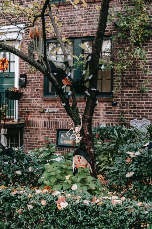 绿树与绿叶 · 免费素材图片