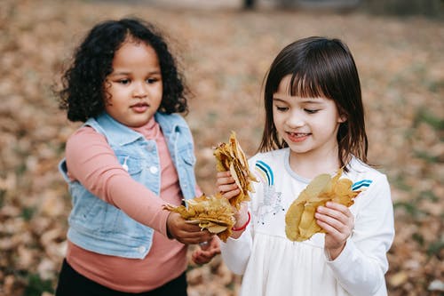 有关一起, 下落, 公园的免费素材图片