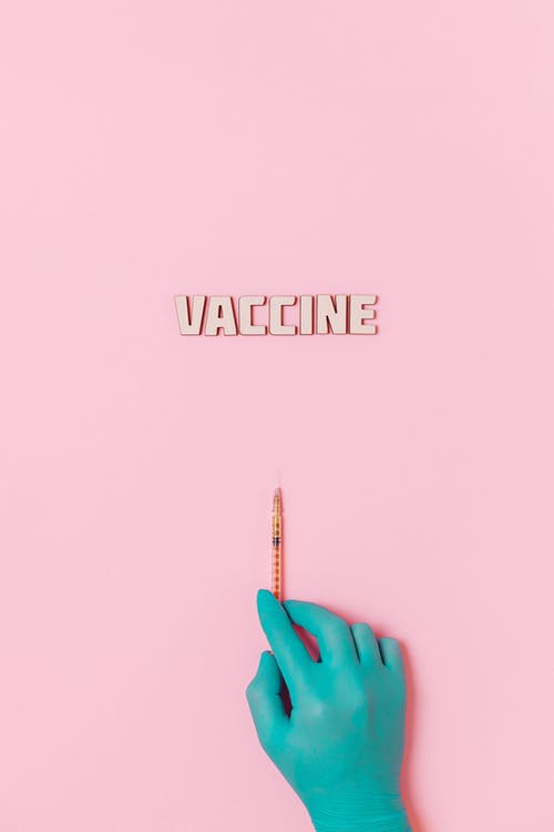 疫苗文本和一个拿着粉红色的背景上的注射器时戴乳胶手套的人 · 免费素材图片