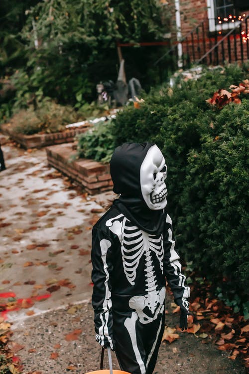 有关下落, 不给糖就捣蛋, 不露面的免费素材图片