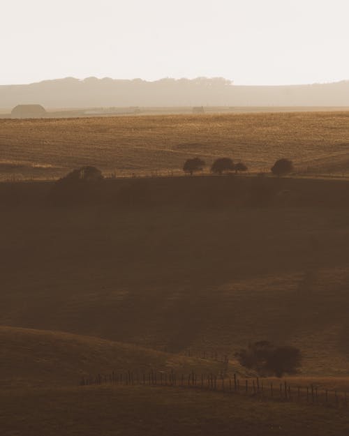 有关冷静, 区域, 和平的的免费素材图片