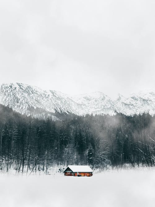 树木和白雪覆盖的山附近的布朗房子 · 免费素材图片