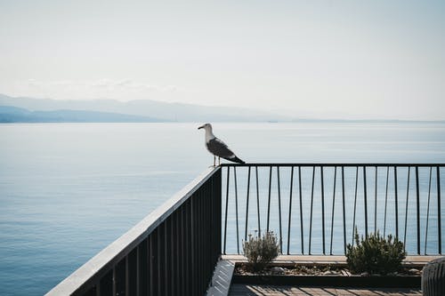有关全身, 冷静, 和平的的免费素材图片