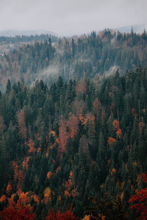 有关Copyspace, 不变, 冷的免费素材图片