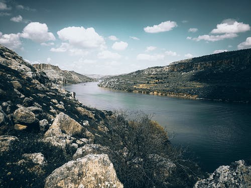 有关冷静, 华丽的, 和平的的免费素材图片