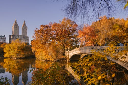 弓桥穿越平静的湖面，在秋天的公园 · 免费素材图片