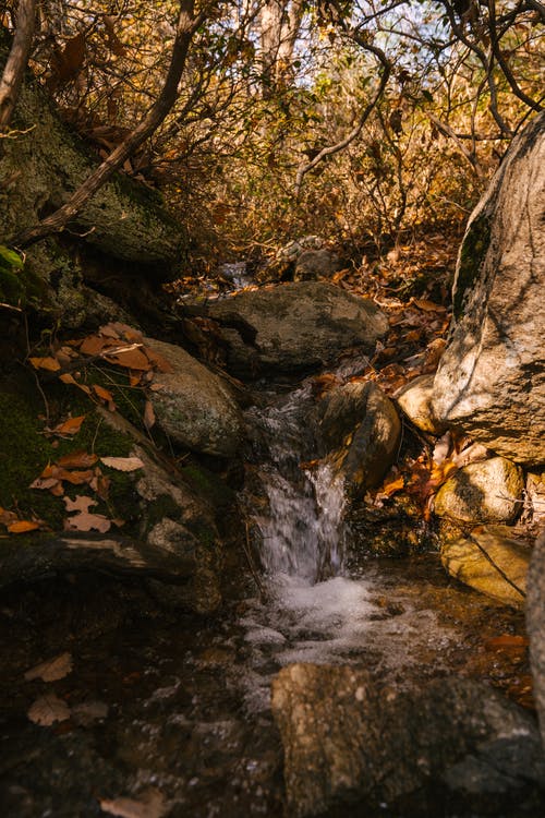 在秋天的树林里的石头上的瀑布 · 免费素材图片