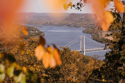 郁郁葱葱的秋天树木环绕的河上的吊桥 · 免费素材图片
