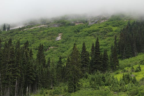 有关低角度拍摄, 天性, 山的免费素材图片