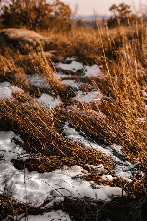 干草在草甸与雪 · 免费素材图片