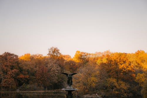 水天使雕像反对白天的秋天的树木 · 免费素材图片