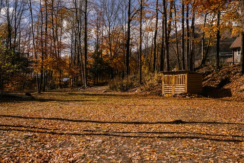 在郊区的秋天树林里的木屋 · 免费素材图片