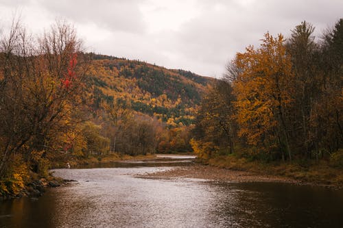 秋天的树木之间流动的河 · 免费素材图片