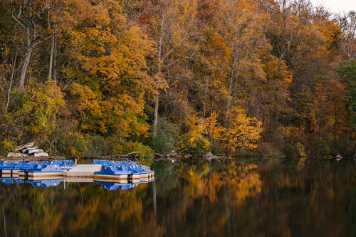 在秋天的树林，在白天的平静河 · 免费素材图片