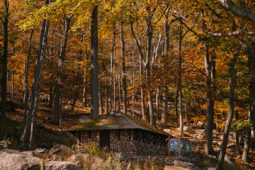 秋天的树林里的石头小屋 · 免费素材图片