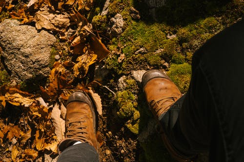 在长满苔藓的岩石与退色的叶子上作物旅游 · 免费素材图片
