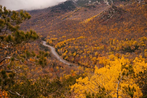 在秋天的山谷中的窄路 · 免费素材图片