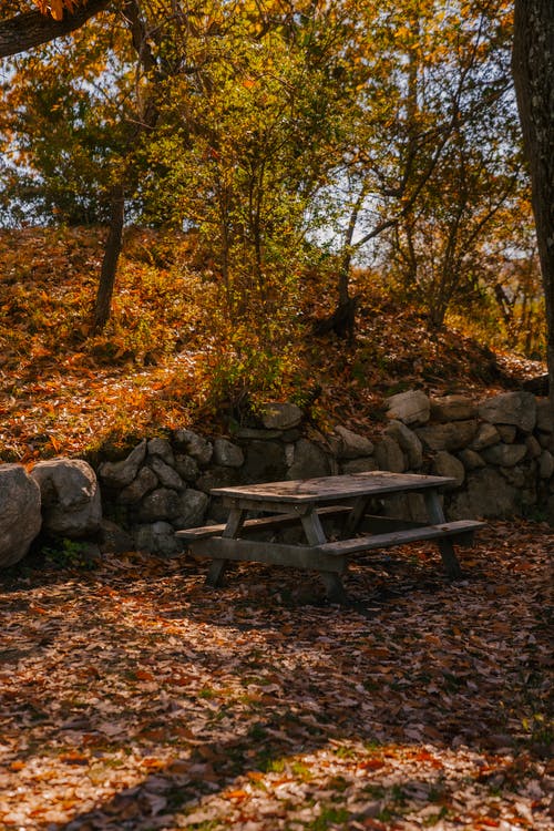 木桌在秋天的树林 · 免费素材图片