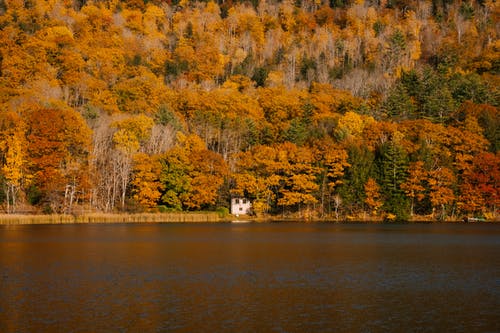秋天的树林附近平静的湖面 · 免费素材图片