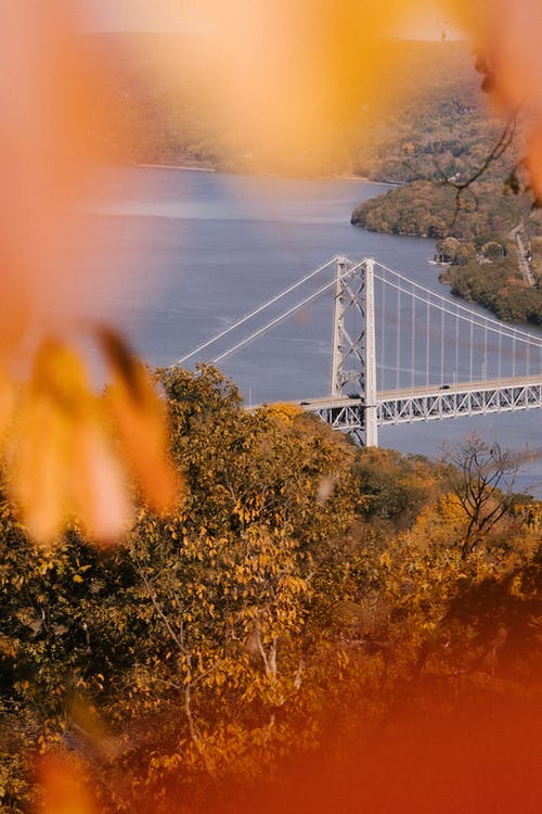 在阳光明媚的秋日在悬索桥下流动的河 · 免费素材图片