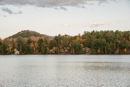在山区的森林附近的湖 · 免费素材图片