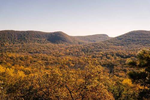 在秋天的季节与茂密的树木的山 · 免费素材图片
