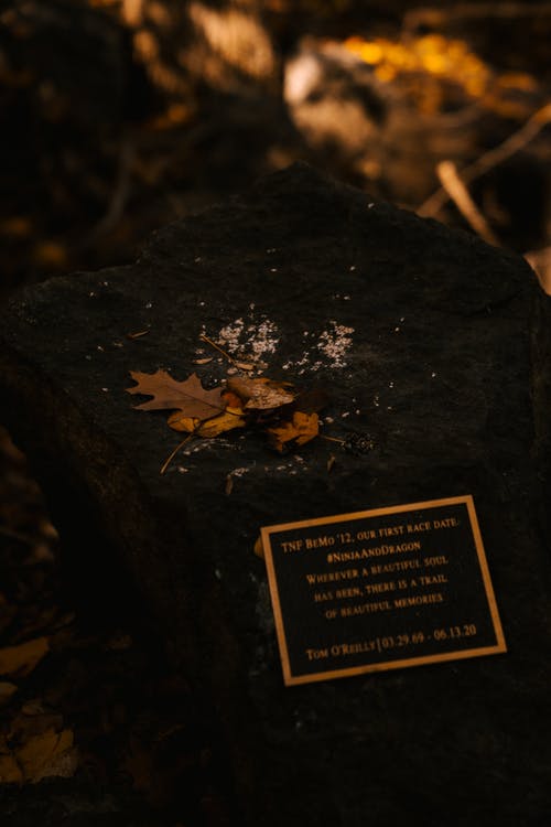纪念石在秋天公园在晴天 · 免费素材图片