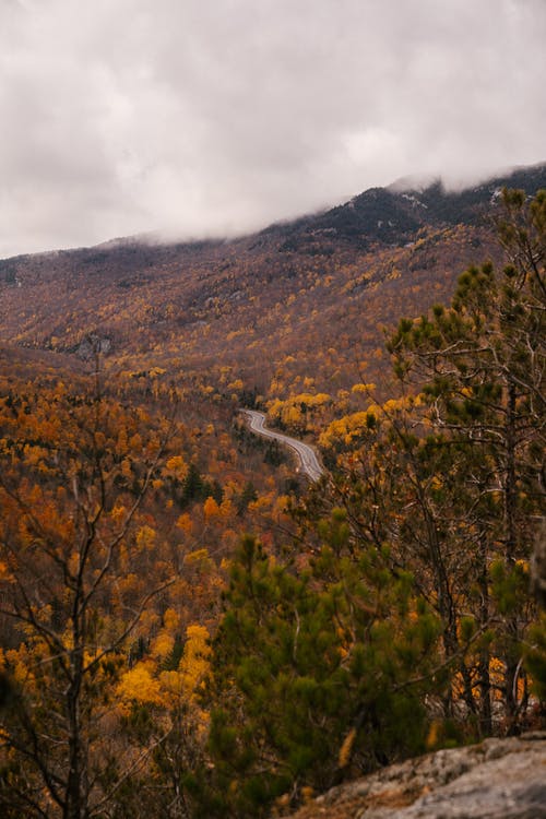 山区的山谷，在秋天阴天狭窄的道路 · 免费素材图片