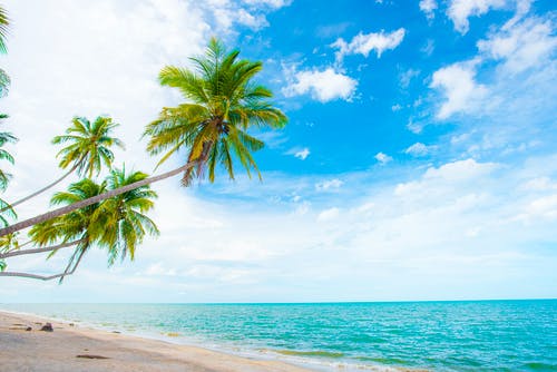 有关假期, 夏天, 大西洋的免费素材图片