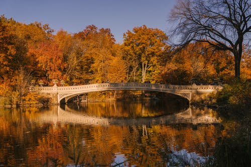在平静的湖面弓桥放在秋天的公园 · 免费素材图片