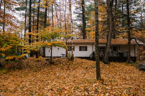 寂寞的房子，在秋天的树林 · 免费素材图片