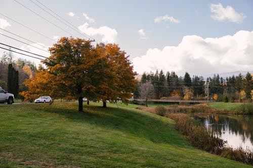 在秋天的树木在湖附近的农村开车 · 免费素材图片