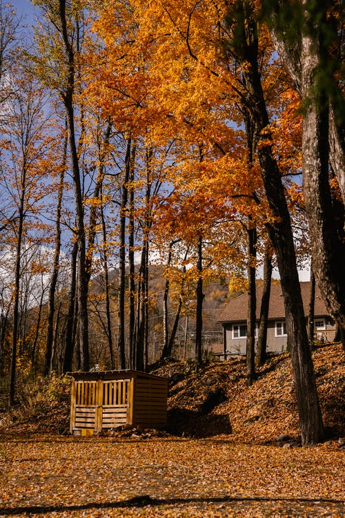 秋天的树林，山附近的木房子里 · 免费素材图片