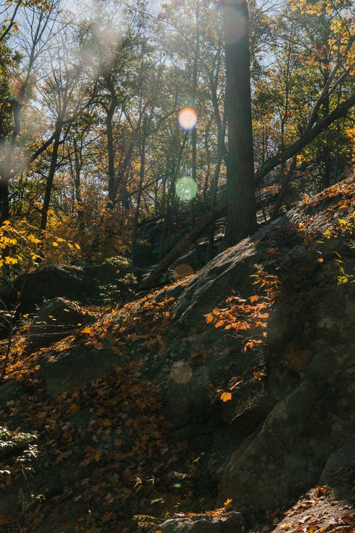 在秋天的树林，在蓝蓝的天空下的岩石地形 · 免费素材图片