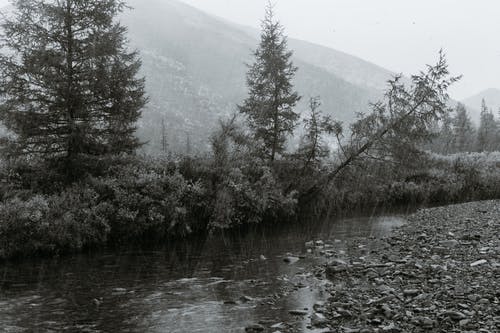 有关bw, 不均匀的, 冷的免费素材图片