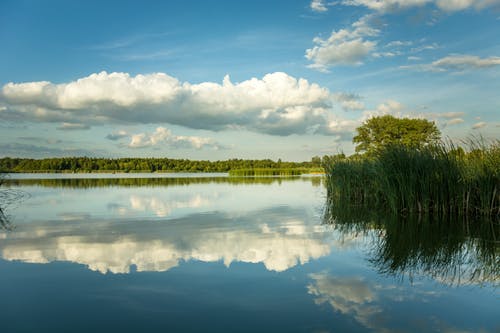 有关夏天, 天性, 天空的免费素材图片