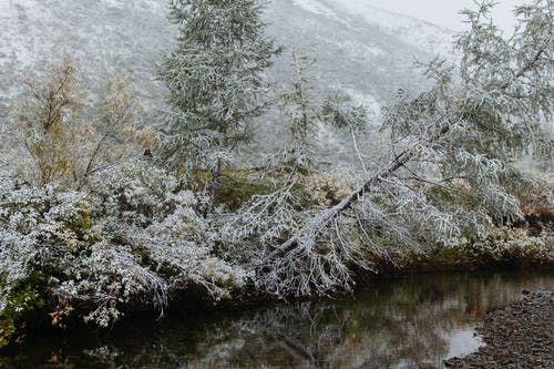 有关冬季, 冷, 冷静的免费素材图片