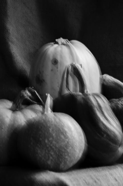 有关bw, 下落, 不一样的免费素材图片