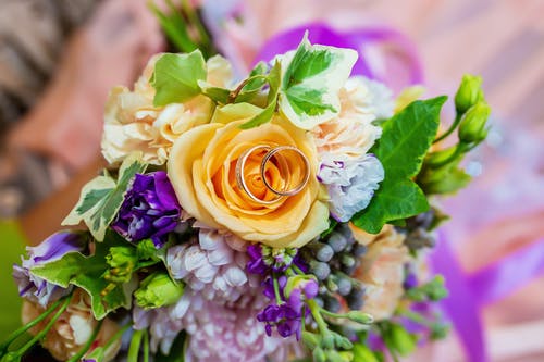 有关一串, 一对, 事件的免费素材图片